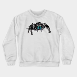 Phidippus regius Everglades male Crewneck Sweatshirt